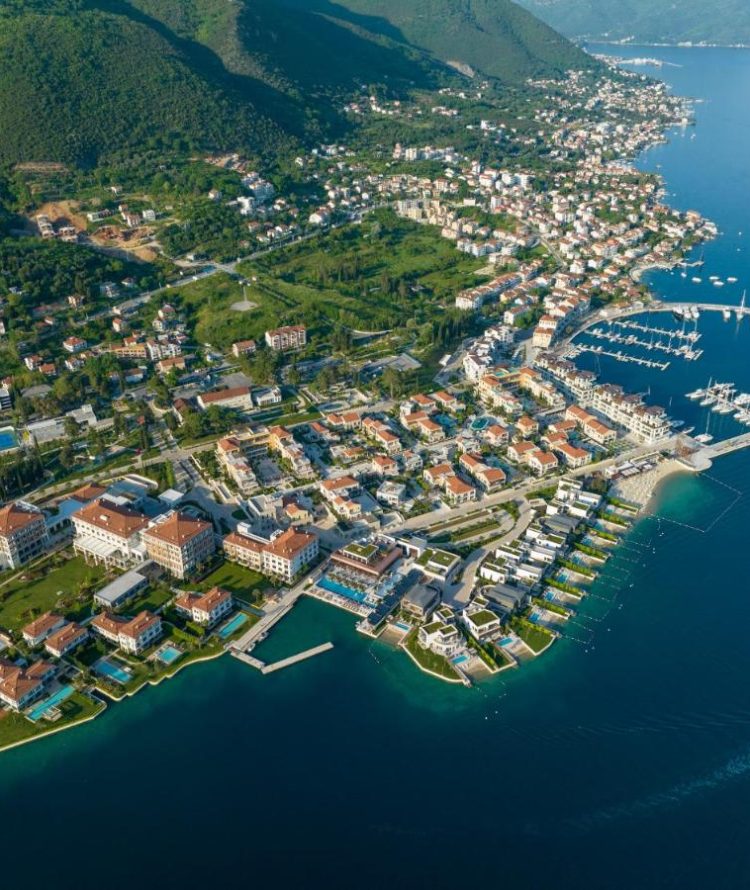 66f6c2_7bbfa56400e54e28a8d85c5b1236d541mv2