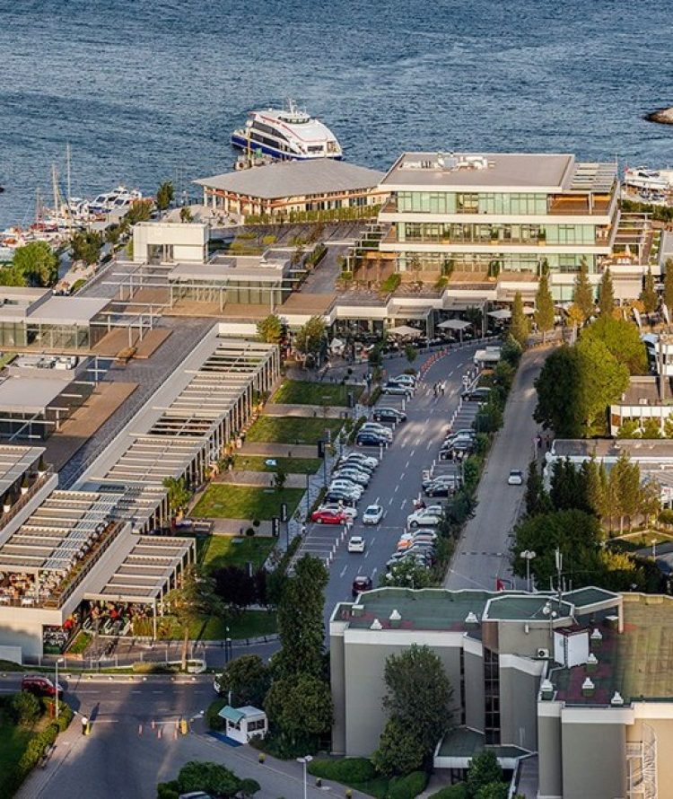 66f6c2_e89f01dfe79c42e6a14af97bd4462df2mv2